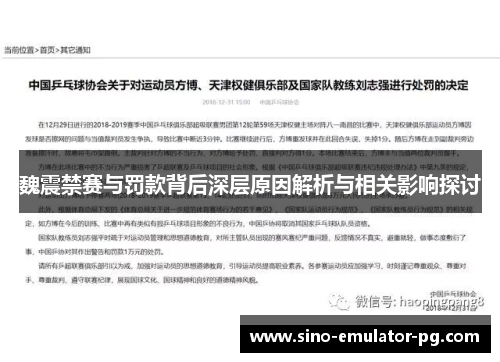 魏震禁赛与罚款背后深层原因解析与相关影响探讨