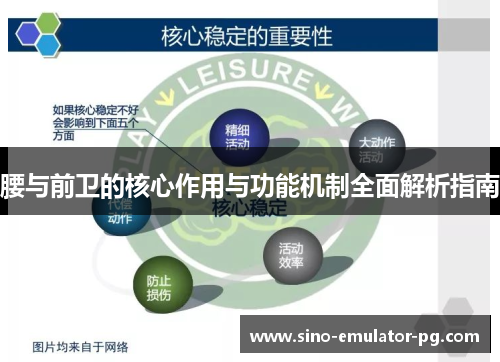 腰与前卫的核心作用与功能机制全面解析指南