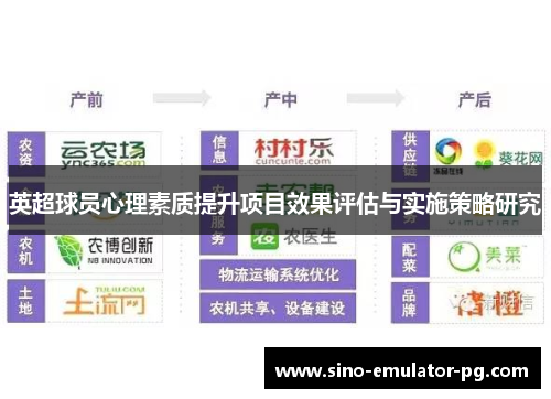英超球员心理素质提升项目效果评估与实施策略研究