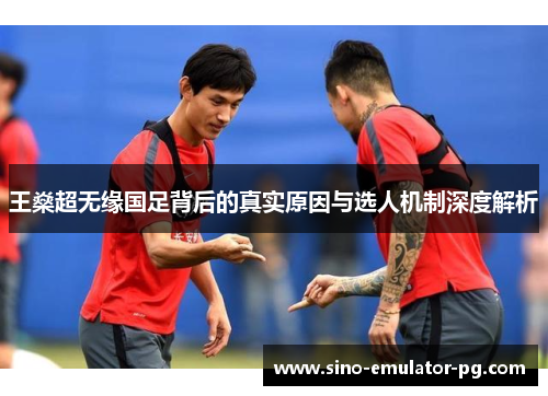 王燊超无缘国足背后的真实原因与选人机制深度解析
