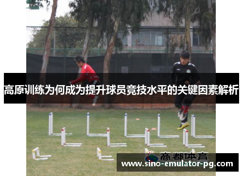 高原训练为何成为提升球员竞技水平的关键因素解析