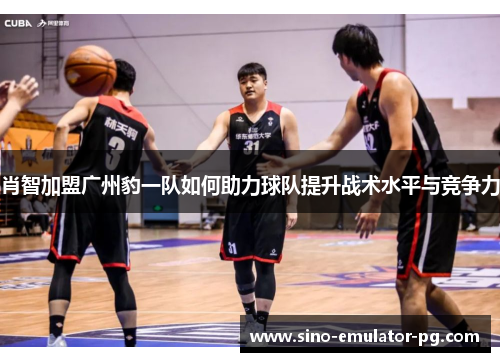 肖智加盟广州豹一队如何助力球队提升战术水平与竞争力