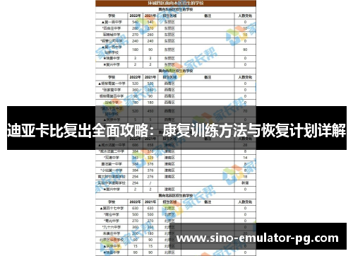 迪亚卡比复出全面攻略：康复训练方法与恢复计划详解