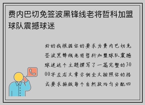 费内巴切免签波黑锋线老将哲科加盟球队震撼球迷 费内巴切免签波黑锋线老将哲科加盟球队震撼球迷